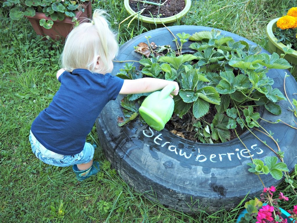 little-muddy-boots-review-watering-strawberries