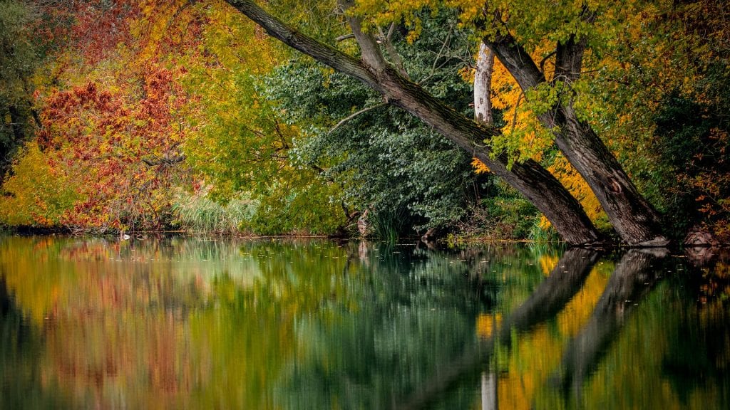 3 things I love about autumn - picture on autumnal trees and lake