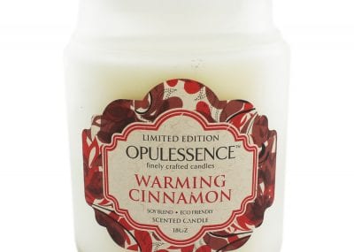 the works christmas wishlist-warming-cinnamon-candle