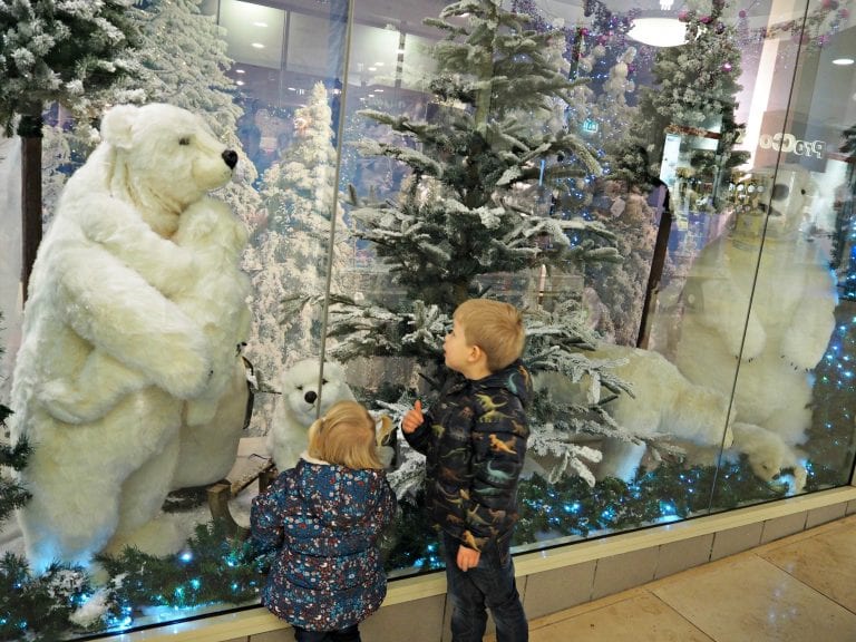 Basingstoke at Christmas - Christmas window