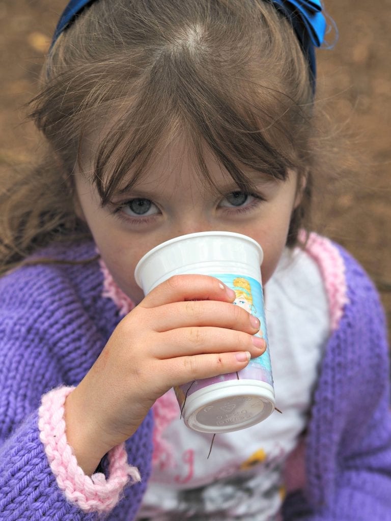 A Disney, Tesco and Hallmark Princess Party - princess cups