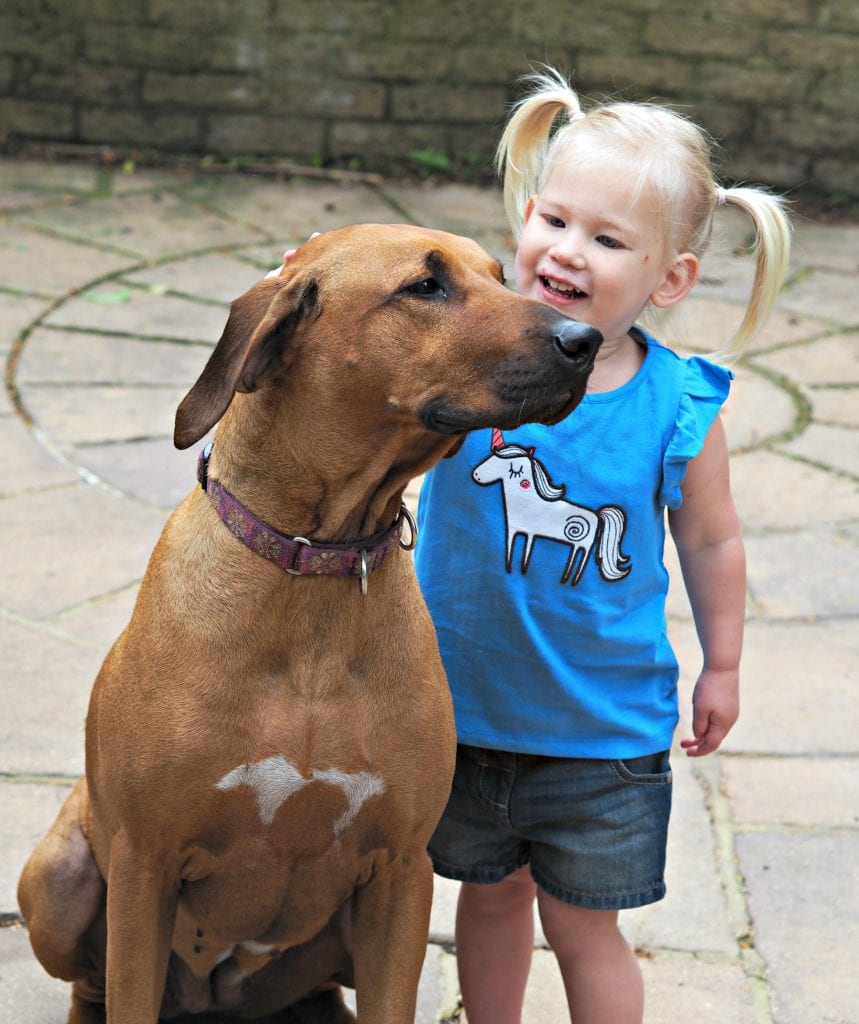  Looking After Your Dog's Teeth with Pedigree Chum Dentastix - Aria stroking Florence