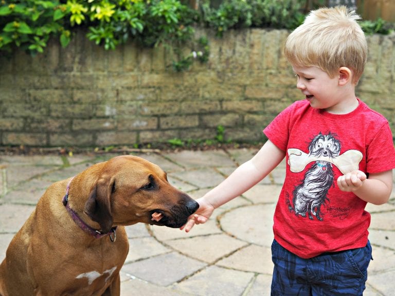 Looking After Your Dog's Teeth with Pedigree Chum Dentastix - Logan feeding Florence