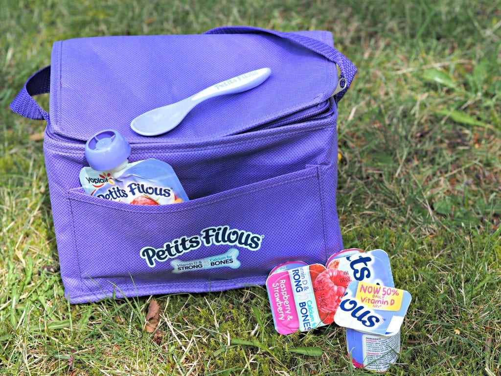  Getting Vitamin D in Your Diet with Petits Filous - cool bag