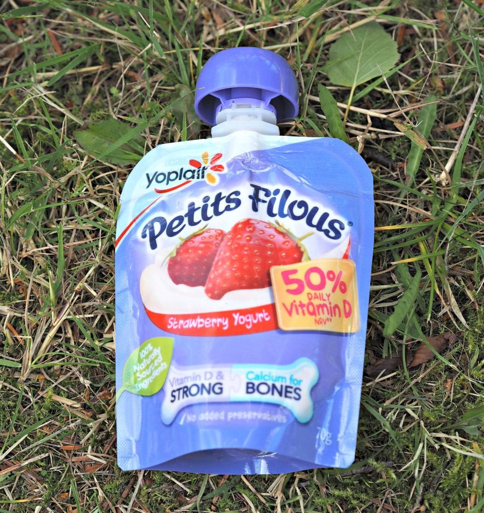  Getting Vitamin D in Your Diet with Petits Filous - pouch