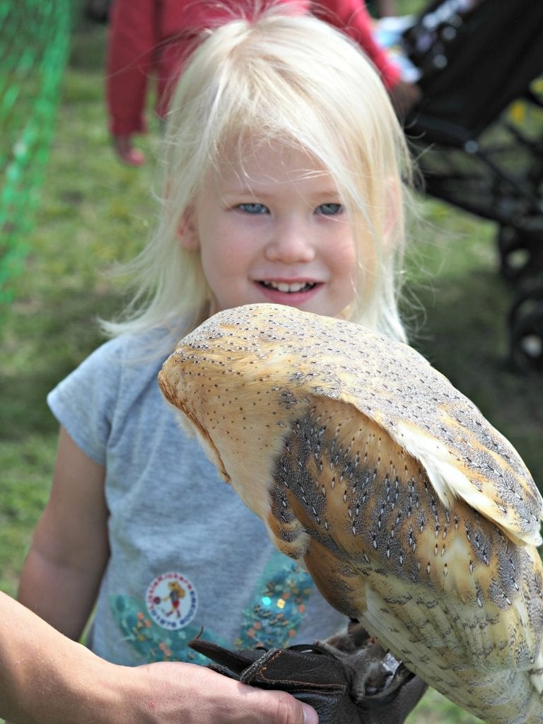  Things We Did This Summer Holidays - 2017 - Aria holding owl