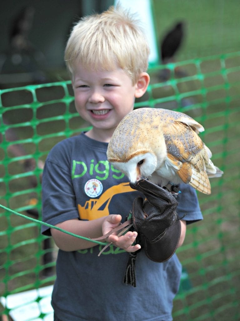 Things We Did This Summer Holidays - 2017 - Logan holding owl