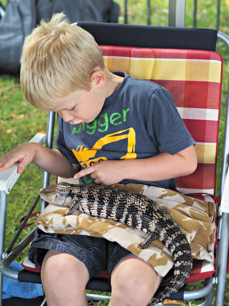  Things We Did This Summer Holidays - 2017 - Logan stroking reptile 2