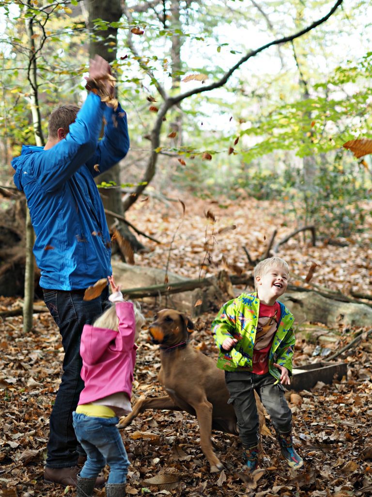  Walking the Dog Whatever the Weather with Millets - playing in the autumn leaves