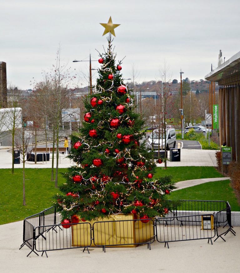 What's on at the Lexicon this Christmas in Bracknell - the Lexicon Christmas tree