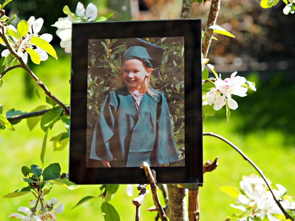 Snapfish - framed photo on blossom