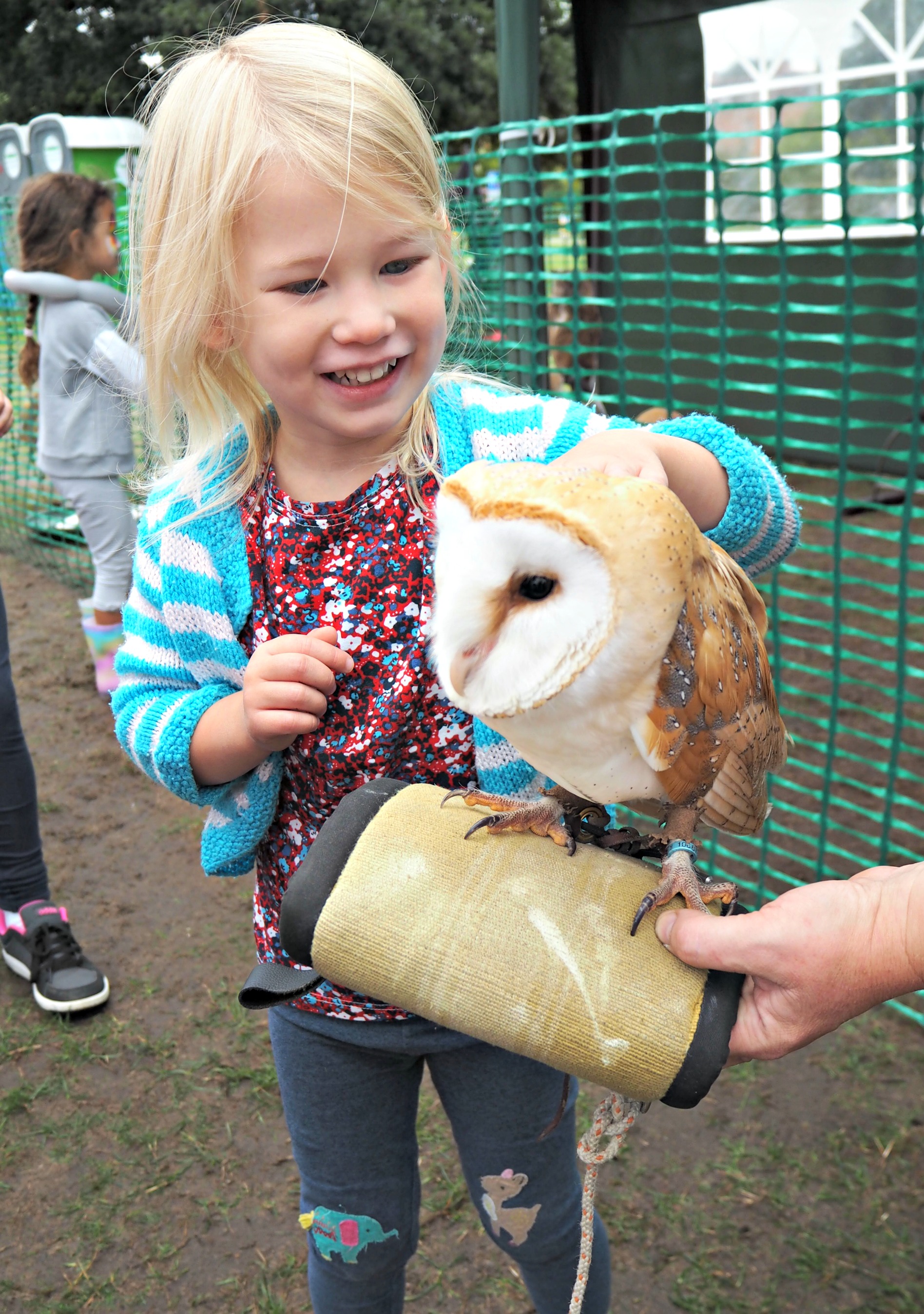 Things We Did Summer Holidays - 2018 - Aria owl