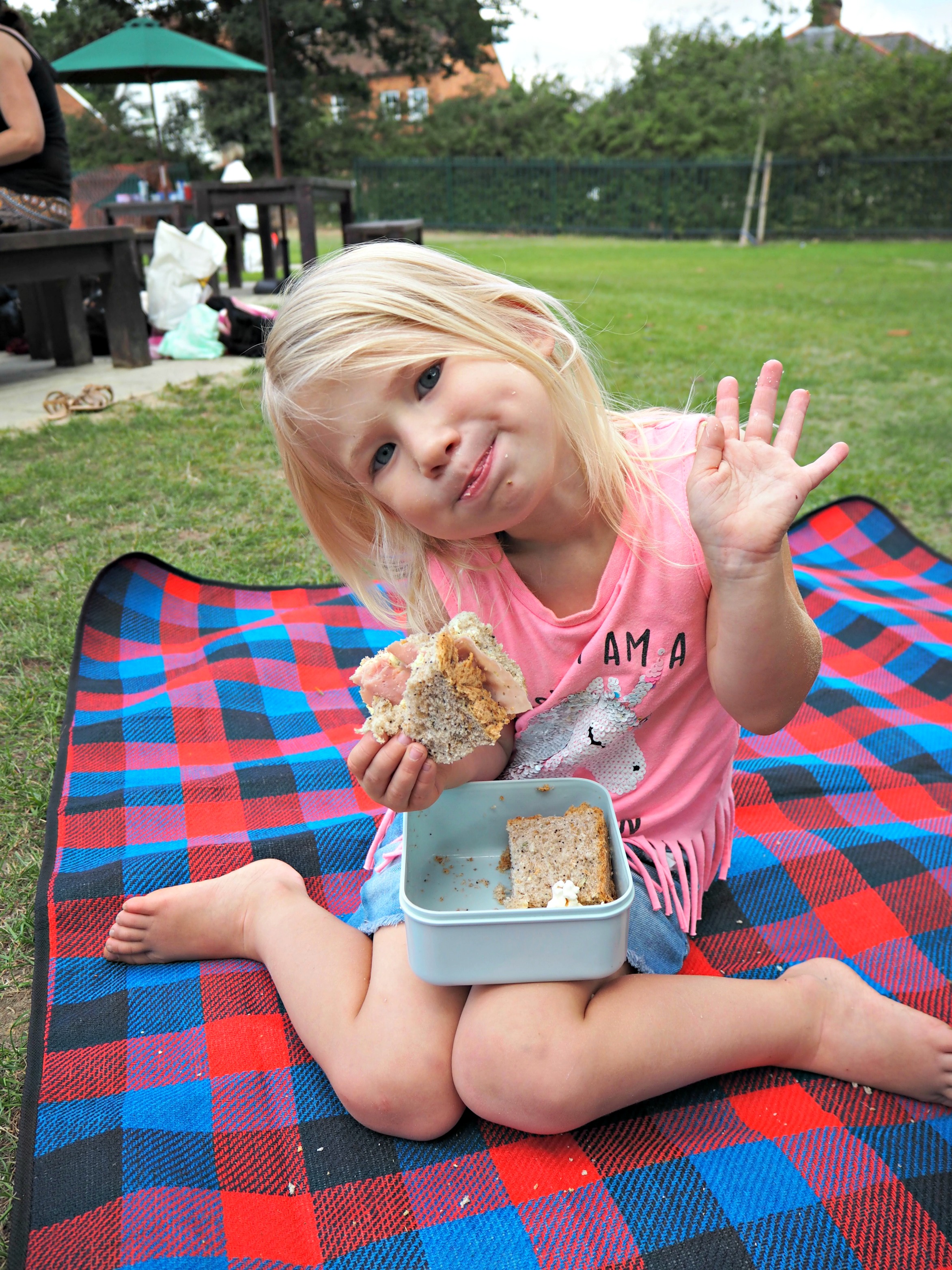 Things We Did Summer Holidays - 2018 - Aria picnic