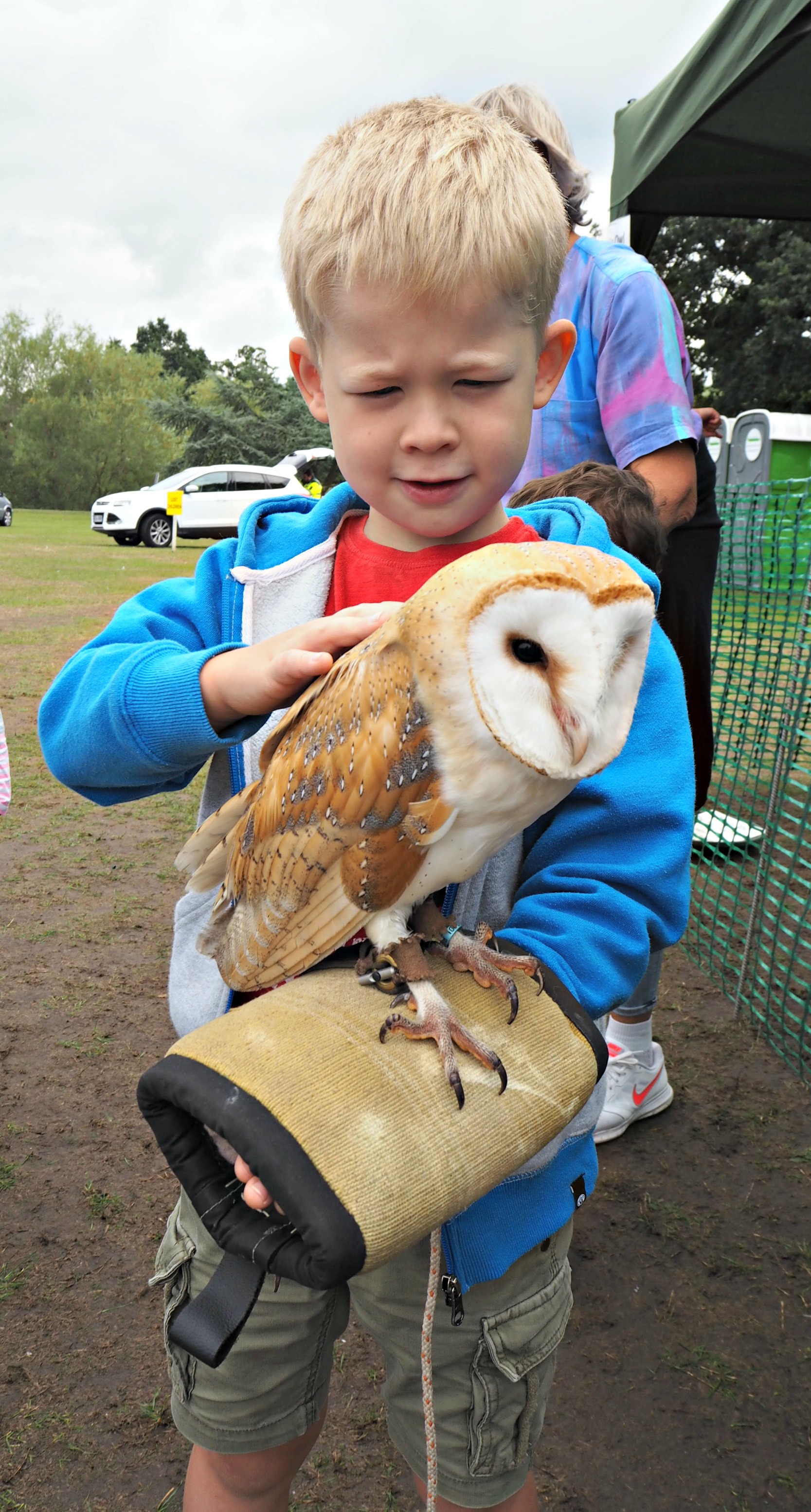 Things We Did Summer Holidays - 2018 - Logan owl