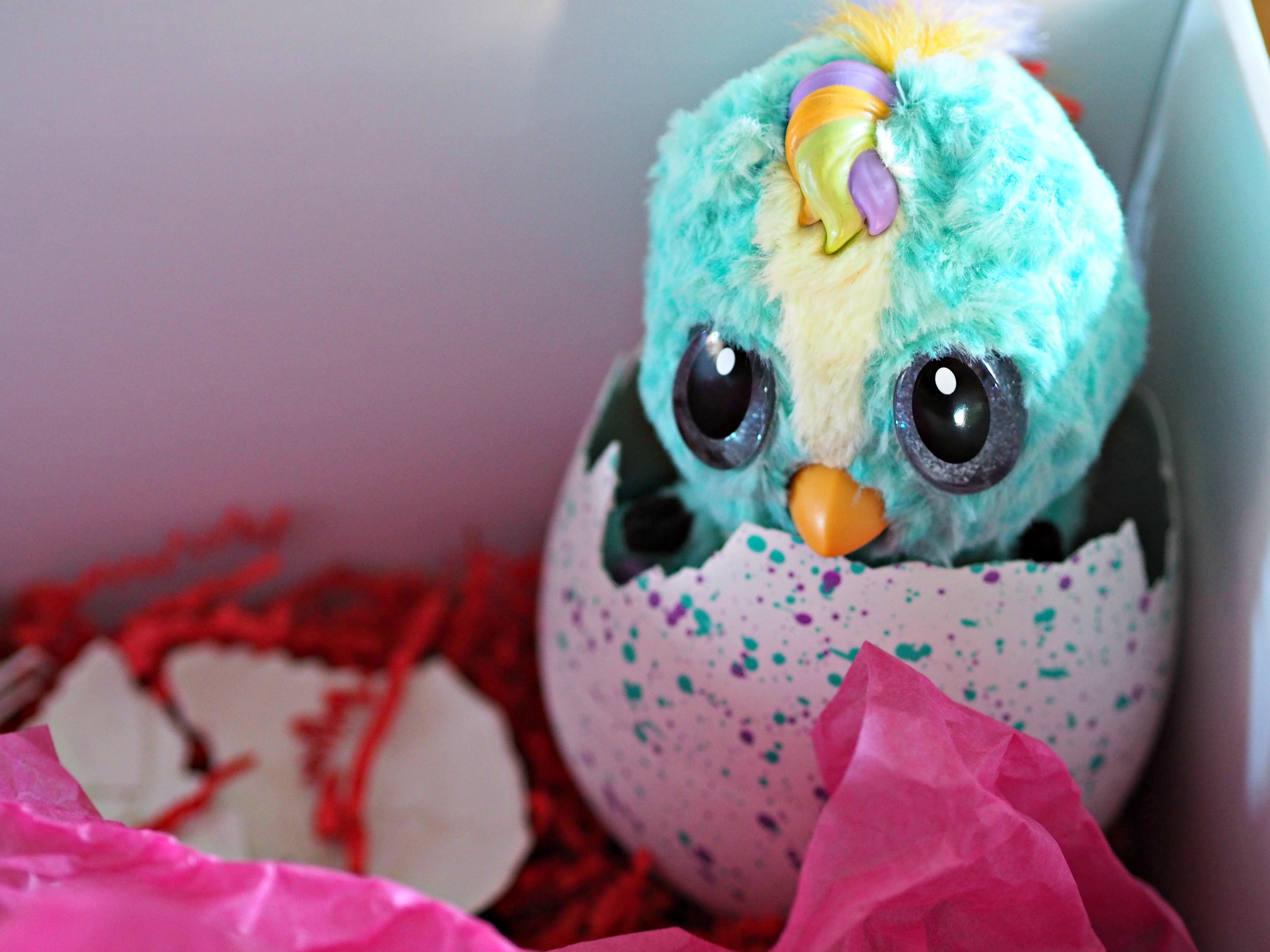 Hatchimals Hatchibabies Review - hatched egg