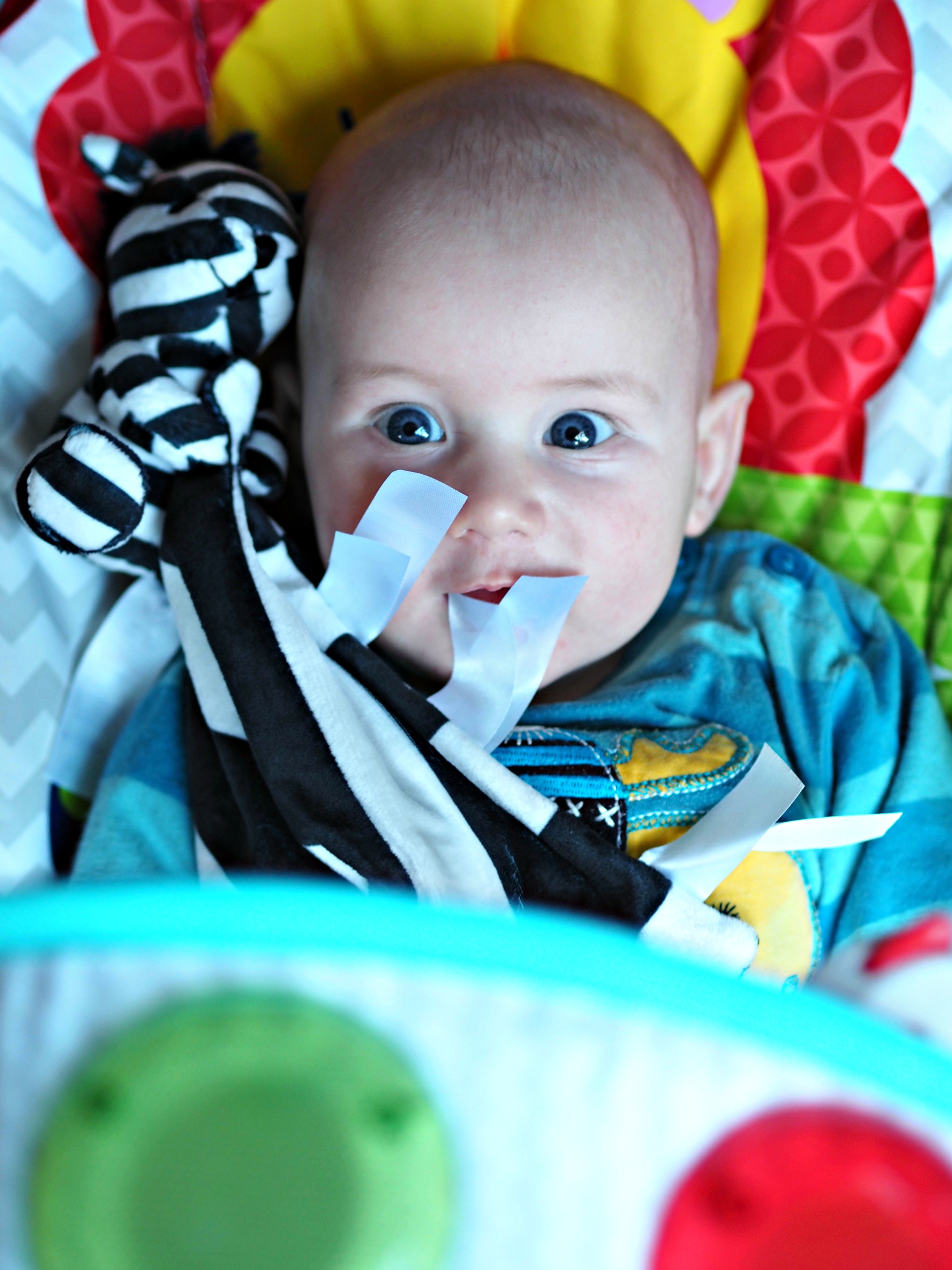 Ticklatots Tactile Soft Toys Review - Bo in bouncer