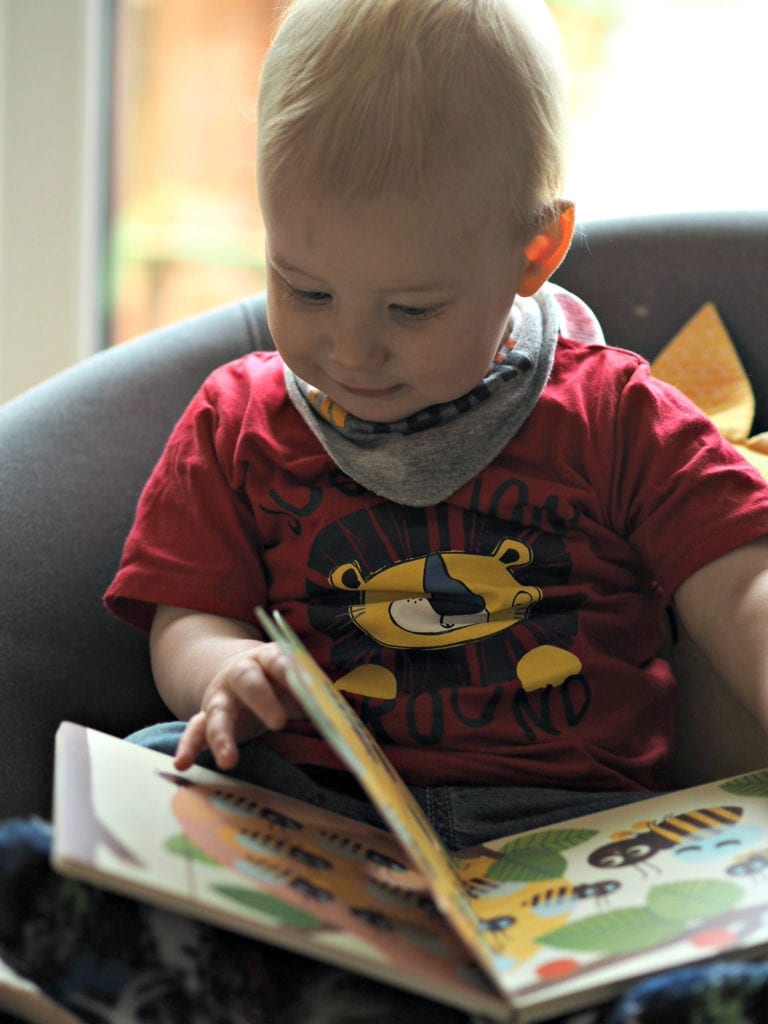 Beautiful Board Books for Babies - Bodhi reading Bee