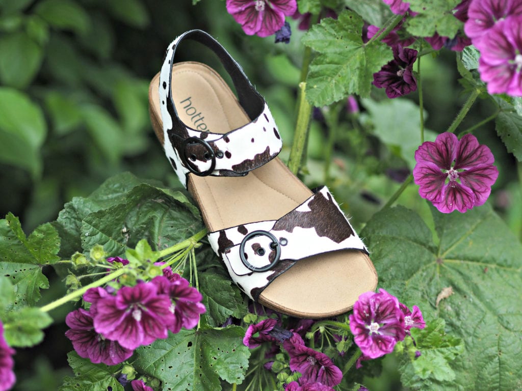 Hotter Tourist Cow print shoes in purple flower bed