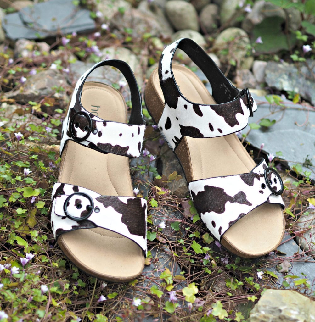 Hotter Tourist Cow print shoes on pebbles aerial view