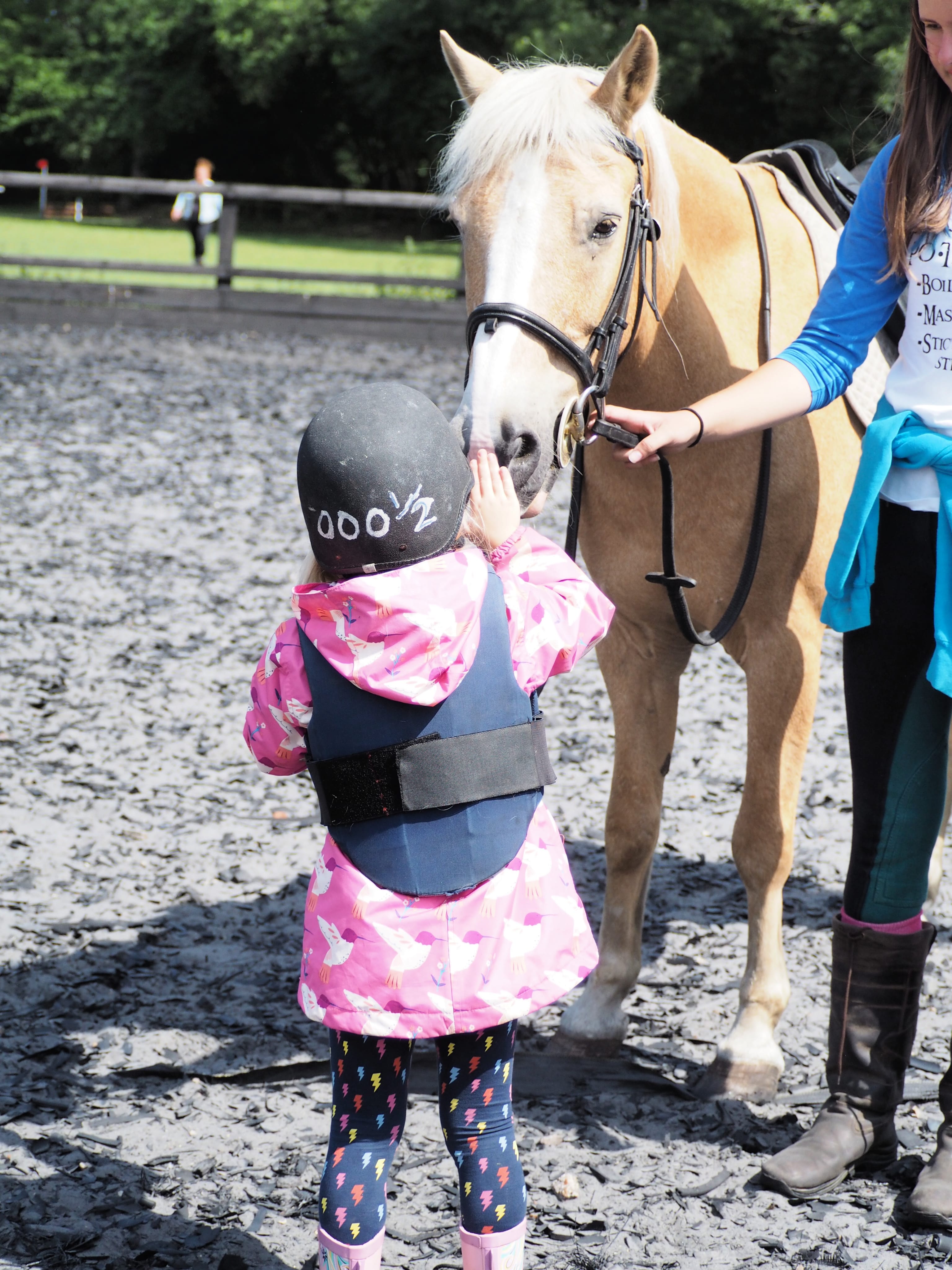 Aria stroking pony