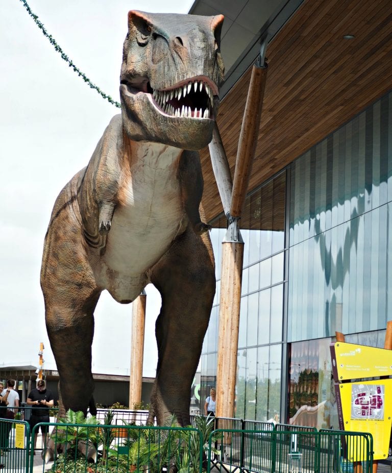 Meet T-Rex at the Lexicon and Other Summer Activities
