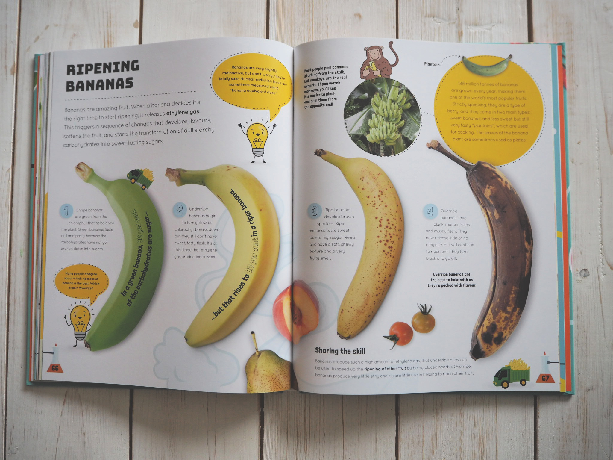 Inside the book - how bananas ripen