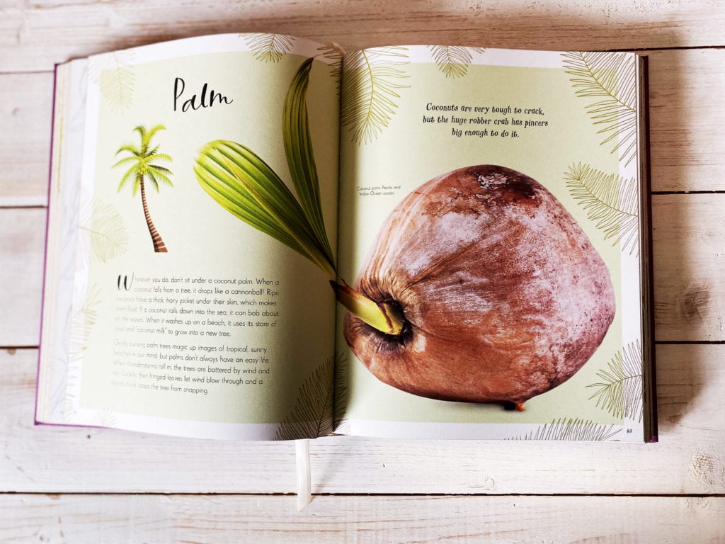 Inside pages of The Wonders of Nature - palm leaves