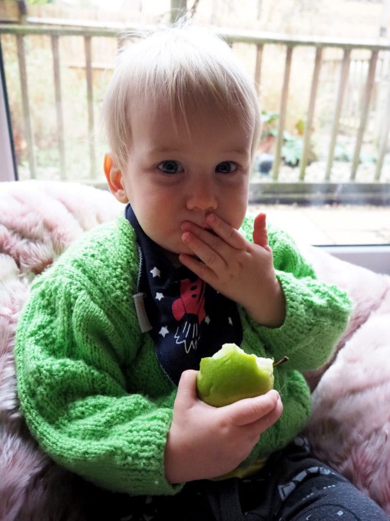 Bo eating an apple sitting on the beanbag