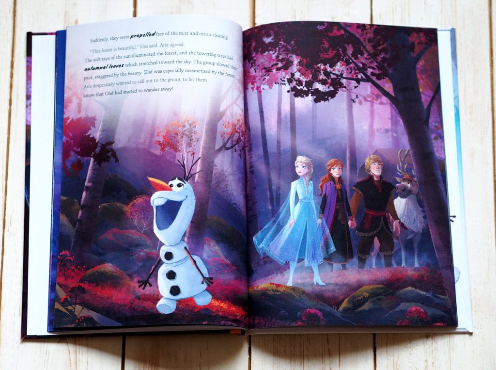 Frozen 2 personalised book illustrations