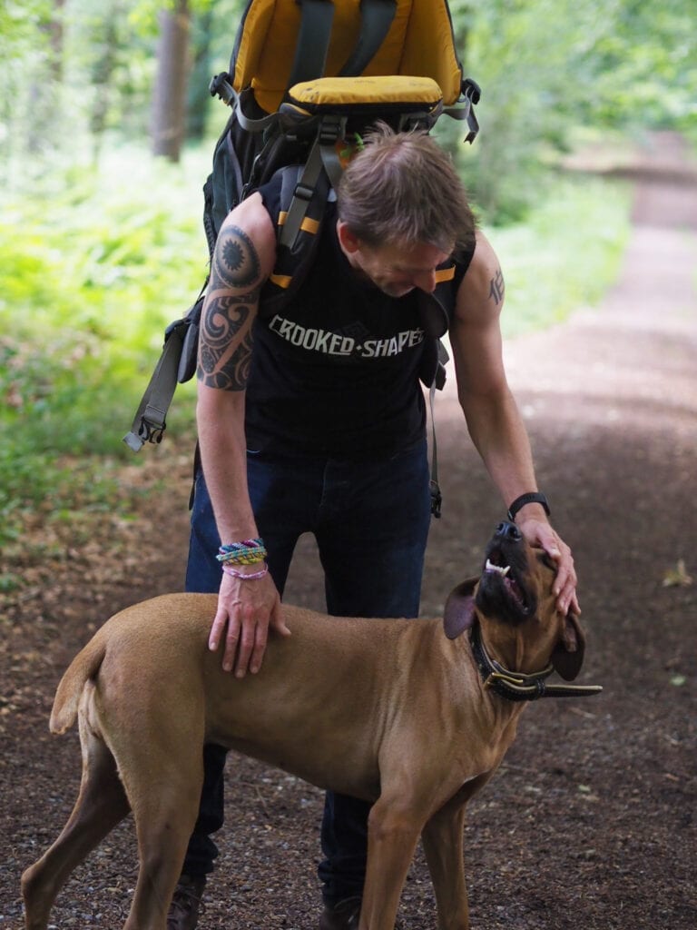 Is it Time to Retire my Ridgeback? As Florence gets older and has developed an auto-immune disease is it time to retire her from running to a quieter pace of life?